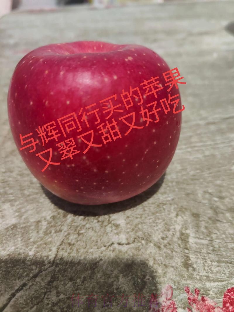 世界杯直播苹果 世界杯直播苹果